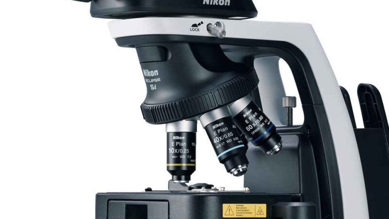 Utiliser le microscope : Guide complet pour des résultats efficaces