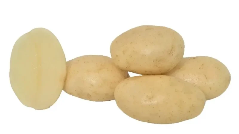 Variété pomme de terre Taisiya : Utilisation et conseils pratiques